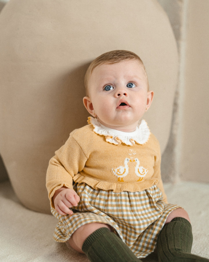 VESTIDO TRICOT VICHY PATO