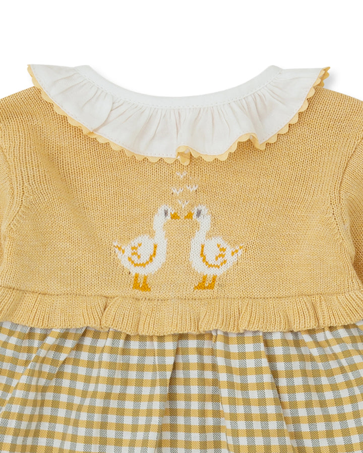 VESTIDO TRICOT VICHY PATO
