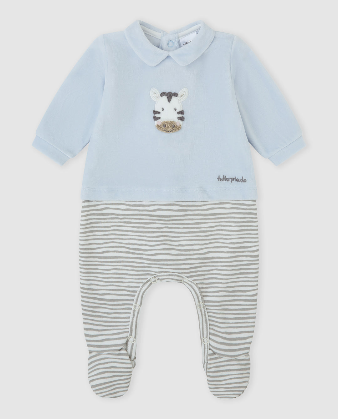 PELELE TUNDOSADO AZUL ZEBRA RECIÉN NACIDO