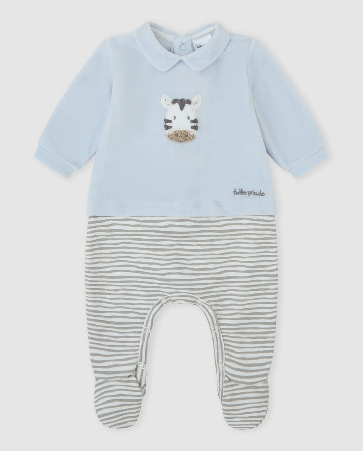 PELELE TUNDOSADO AZUL ZEBRA RECIÉN NACIDO