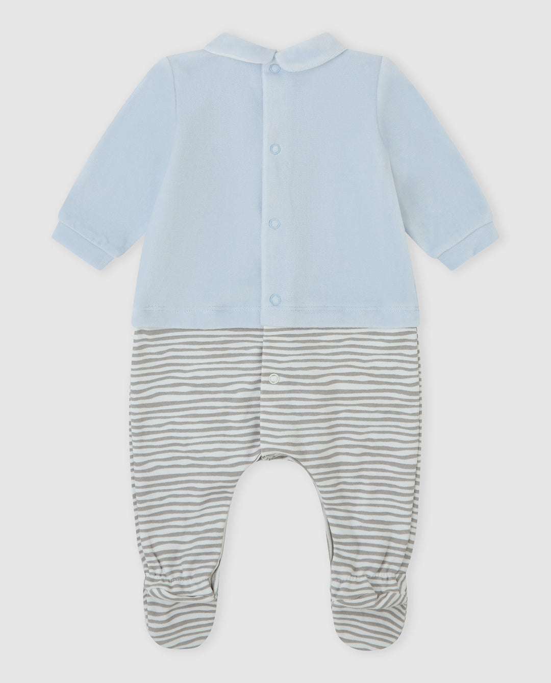 PELELE TUNDOSADO AZUL ZEBRA RECIÉN NACIDO