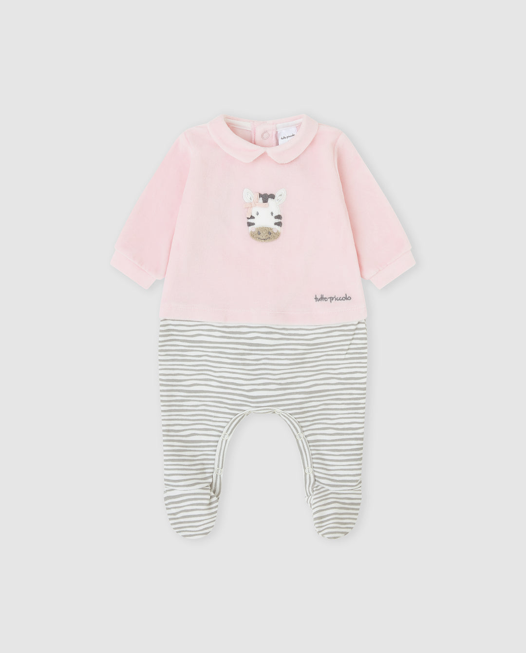 PELELE TUNDOSADO PÉTALO ZEBRA RECIÉN NACIDO