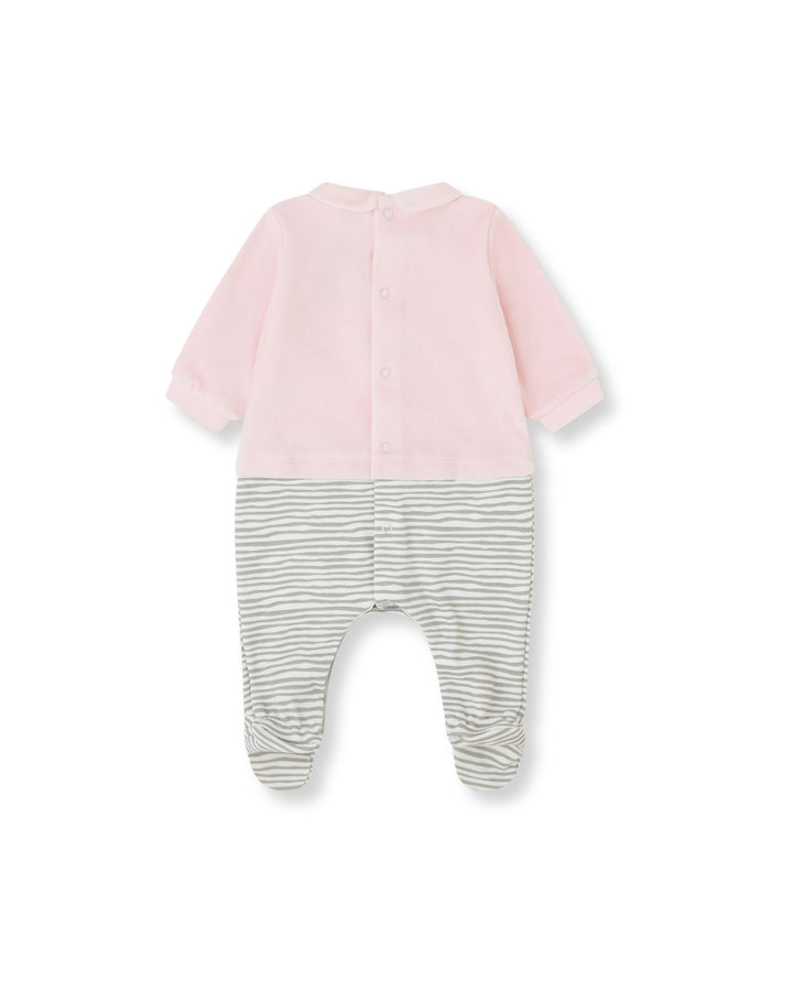 PELELE TUNDOSADO PÉTALO ZEBRA