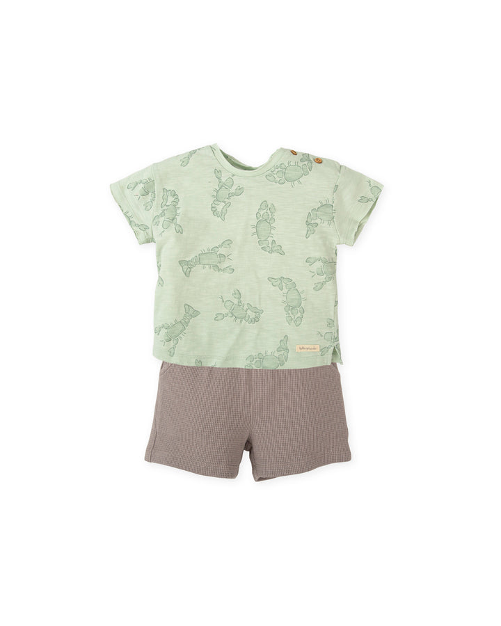 CONJUNTO 2 PZAS. KAKI