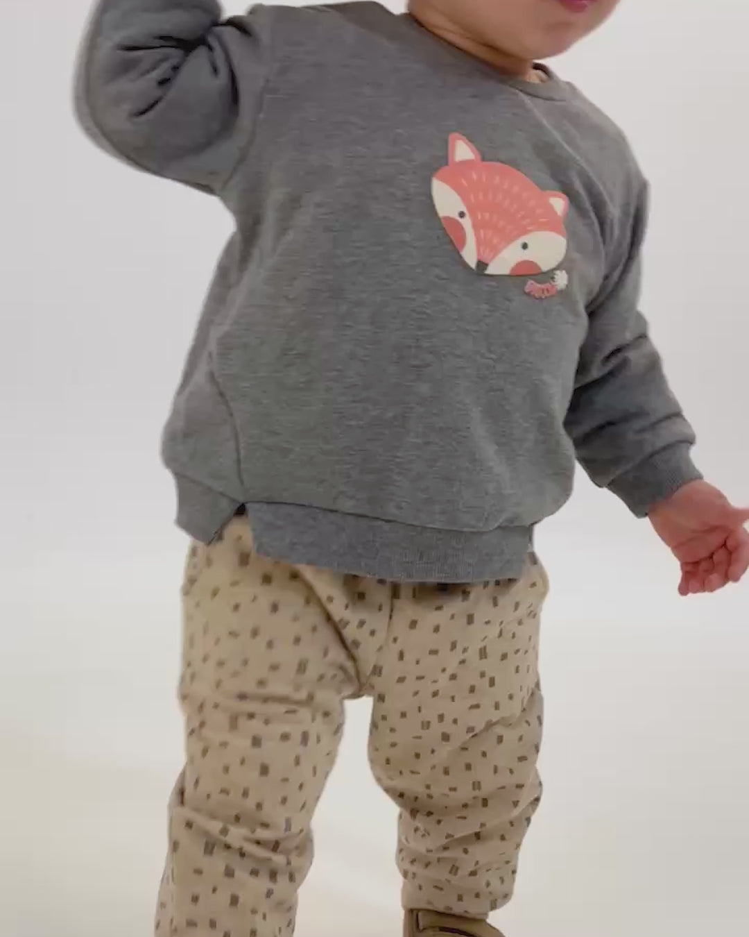 ANTHRACITE FOX TWO PIECES SET